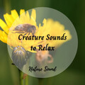 Reading Background Music Playlist、Music for Work、Soothing Music - Nature Sound: Creature Sounds to Relax - 1 Hour