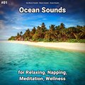Sea Waves Sounds、Nature Sounds、Ocean Sounds - Ocean Sounds Pt. 3