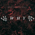 WHY? (Explicit)