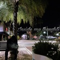 INSIDE MY THOUGHTS (Explicit)