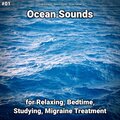 Ocean Currents、Nature Sounds、Ocean Sounds - Ocean Sounds Pt. 12