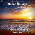Sea Waves Sounds、Nature Sounds、Ocean Sounds - Ocean Sounds Pt. 27