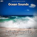 Ocean Currents、Nature Sounds、Ocean Sounds - Ocean Sounds Pt. 6