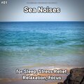 Ocean Currents、Nature Sounds、Ocean Sounds - Sea Noises Pt. 44