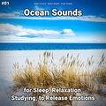Ocean Currents、Nature Sounds、Ocean Sounds - Ocean Sounds Pt. 44
