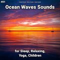 Coastal Sounds、Nature Sounds、Ocean Sounds - Ocean Waves Sounds Part 50