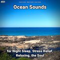 Ocean Currents、Nature Sounds、Ocean Sounds - Ocean Sounds Pt. 8