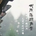听雨落的声音