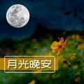 睡眠用 - 睡前的瑜伽动作