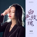 张茜 - 白色玫瑰