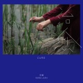 王娟 - 静如永世
