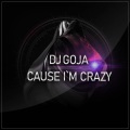 Dj Goja、Ovidiu Marius Goja、Evangelos Siakas - Cause I`m Crazy