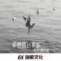 M.R.Y麦尔彦 - 多想回到家乡 (DJ版)
