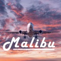 Gomer - Malibu
