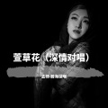 孟杨 - 萱草花