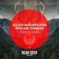 Julian Wassermann、Pete Kaltenburg - In Love (Original Mix)