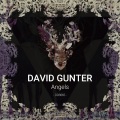 David Gunter - Angels (Original Mix)