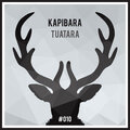 Kapibara - Tuatara (Original Mix)