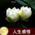 枕云听月 - 好好爱自己