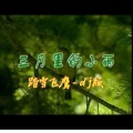 三月里的小雨（dj版）