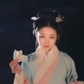 南飞雁 - 放