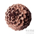 小皮 - 随