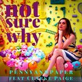 Pennyandpaper、Clarke Paige、William Clarke Carper Paige、Penny Davis - Not Sure Why (Alright)