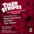 Tiger Stripes、Hanna Hais - Consecration (Markus Enochson Remix)