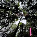 何聪 - 变废为宝