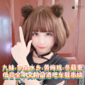 DJ国飞 - DJ国飞-九妹-梦里水乡-黄梅戏-冬菇重低音全中文精品酒吧车载串烧（DJ国飞 remix）