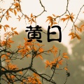 黄日
