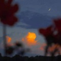月钱 - 识别