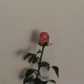 澄川 - 冥中注定