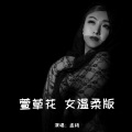 孟杨 - 萱草花
