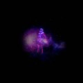 OUTER SPACE