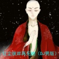 宇冰 - 红尘彼岸却无她DJ (Remix)