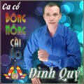 Đình Quý、Kim Ngân - Bông hồng cài áo (feat. Kim Ngân)