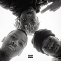 FOR THE BIRDS (Explicit)