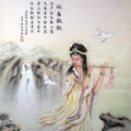 枕云听月 - 自由