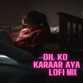 Uzumaki Baka、Vicky Singh - Dil Ko Karaar Aya Lofi Mix (CoverSong)