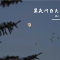 张pd - 黑夜问白天 (50秒片段)