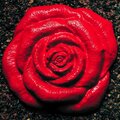 Kenny Bee、Flower$、Ashley Stevens - Phenomenal Steamers