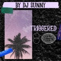DJ Sunny - Triggered