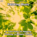 Relaxing Music by Dominik Agnello、Relaxing Spa Music、Yoga - Relaxing Music Pt. 31