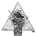 Shred (Explicit)