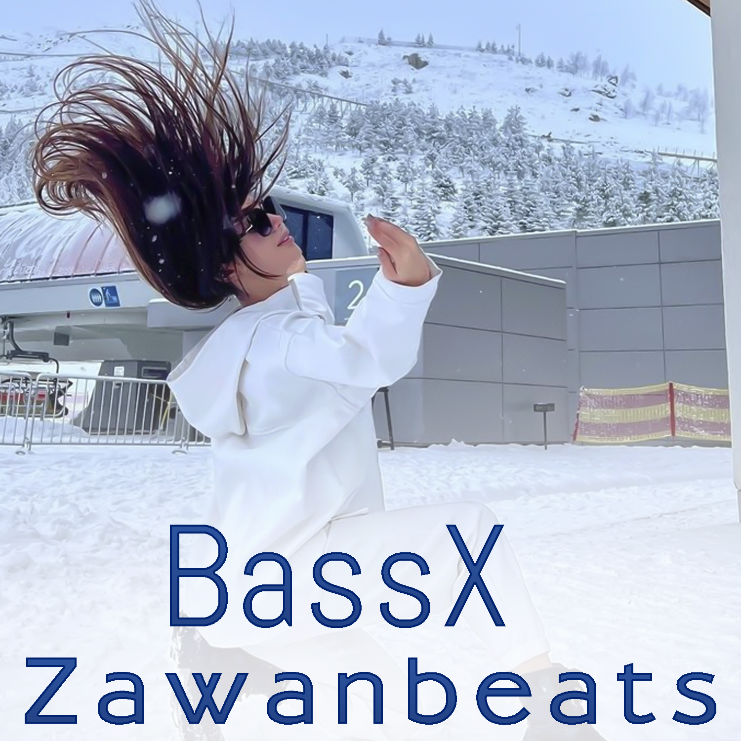 Zawanbeats - BassX