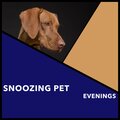 Snoozing Pet Evenings