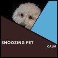 Snoozing Pet Calm