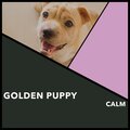 Golden Puppy Calm