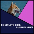 Complete Dog Dream Moments